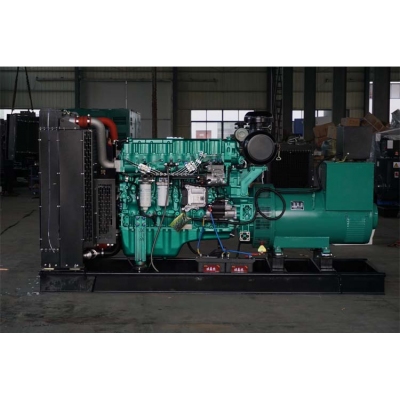 300kw玉柴柴油發(fā)電機組-玉柴6缸柴油機YC6MJ500-D30 柴油發(fā)電機組,缸徑/行程：131/145mm,柴油發(fā)電機組水冷發(fā)動機功率367KW,柴油發(fā)電機組配套馬拉松斯坦福發(fā)電機。廠價直銷歡迎選購：13773399855。